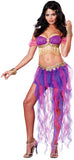 Belly Dancer Costume California Costume 01330
