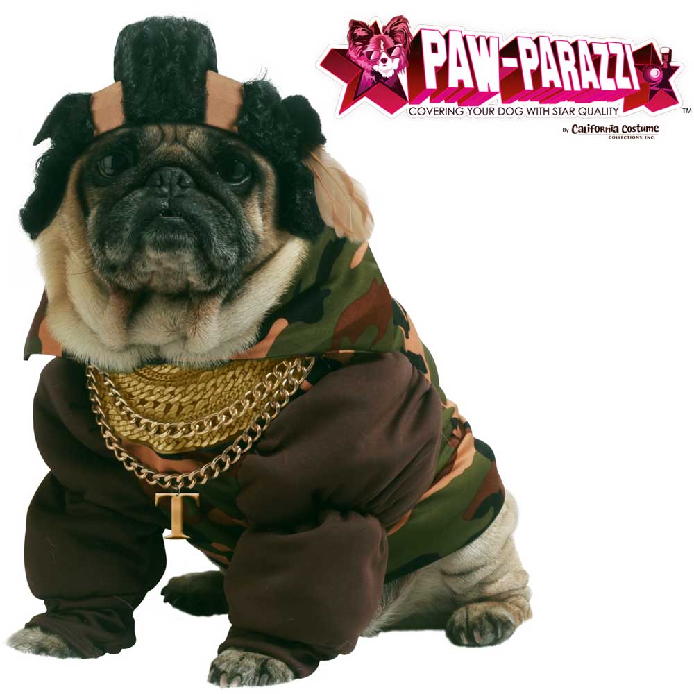 Pity the Fool Mr T Pet Costume California Costume PET20118