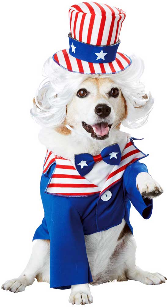 UNCLE SAM DOG COSTUME California Costume PET20147