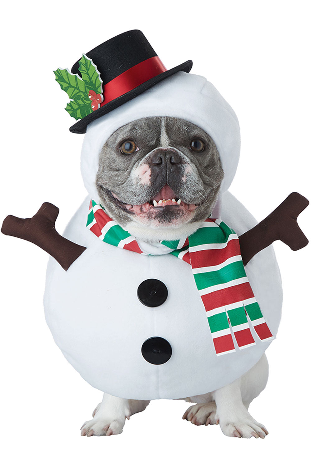 California Costumes Snowman Dog Christmas Costume