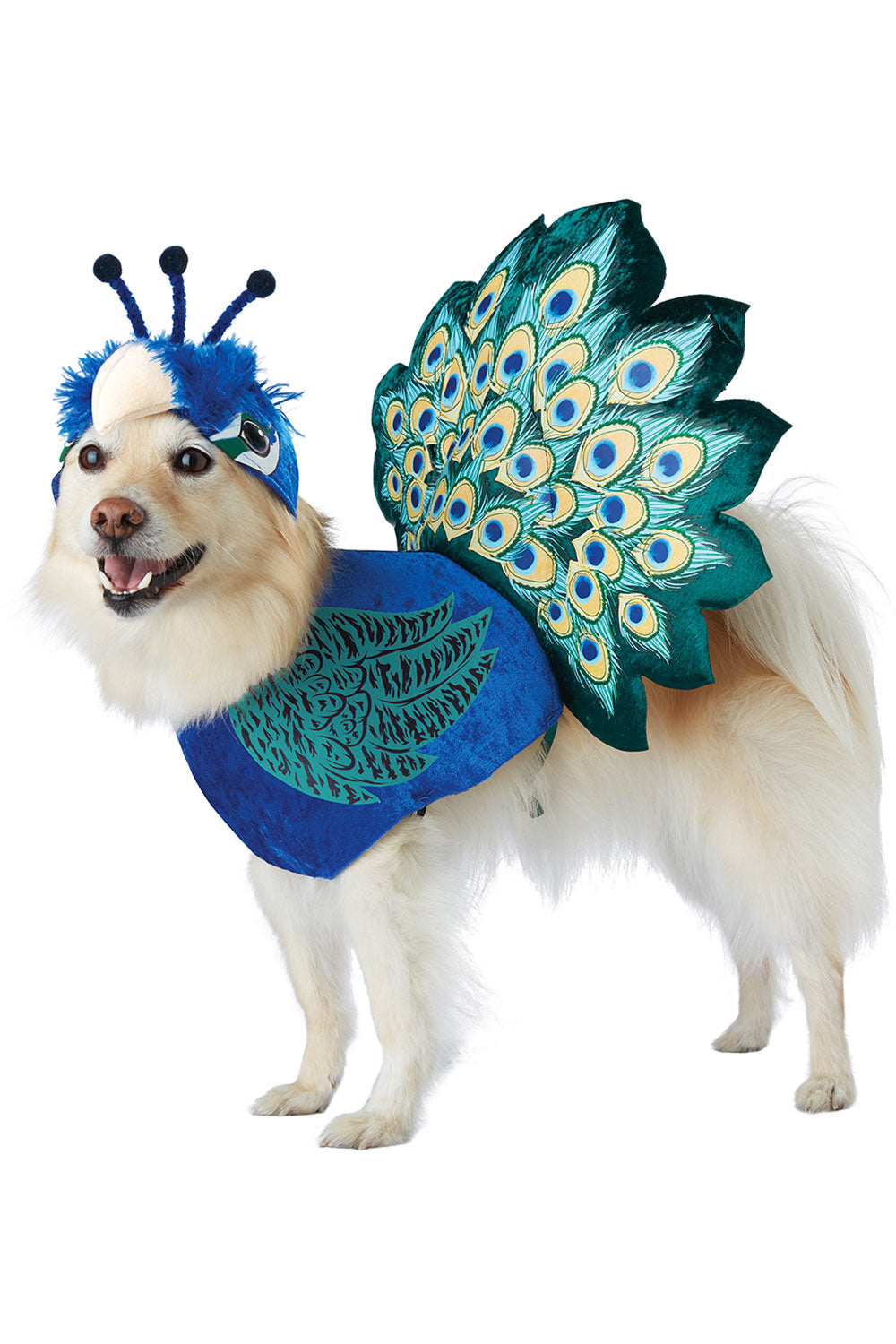 PRETTY AS A PEACOCK DOG COSTUME California Costume PET20165