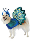 PRETTY AS A PEACOCK DOG COSTUME California Costume PET20165