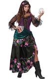California Costumes Mystical Charmer Adult Women Halloween Costume
