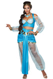 California Costumes Arabian Princess Adult Women Halloween Costume