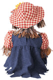 Lil' Cute Scarecrow / Infant California Costume 1020/076