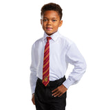 Gryffindor Breakaway Tie Disguise 109899