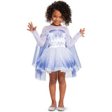 Snow Queen Elsa Tutu Classic Disguise 117749