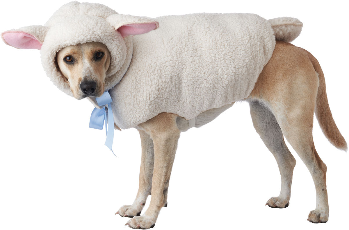 California Costumes Sheep Dog Animal Halloween Costume