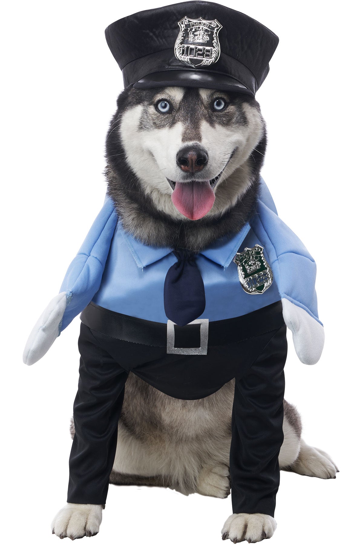 Guard Dog Costume California Costume  4223/128
