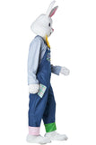 Happy Easter Bunny/Plus California Costume  5221/001PLUS