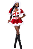 Roma 4pc Northpole Vixen Christmas Adult Women Costume