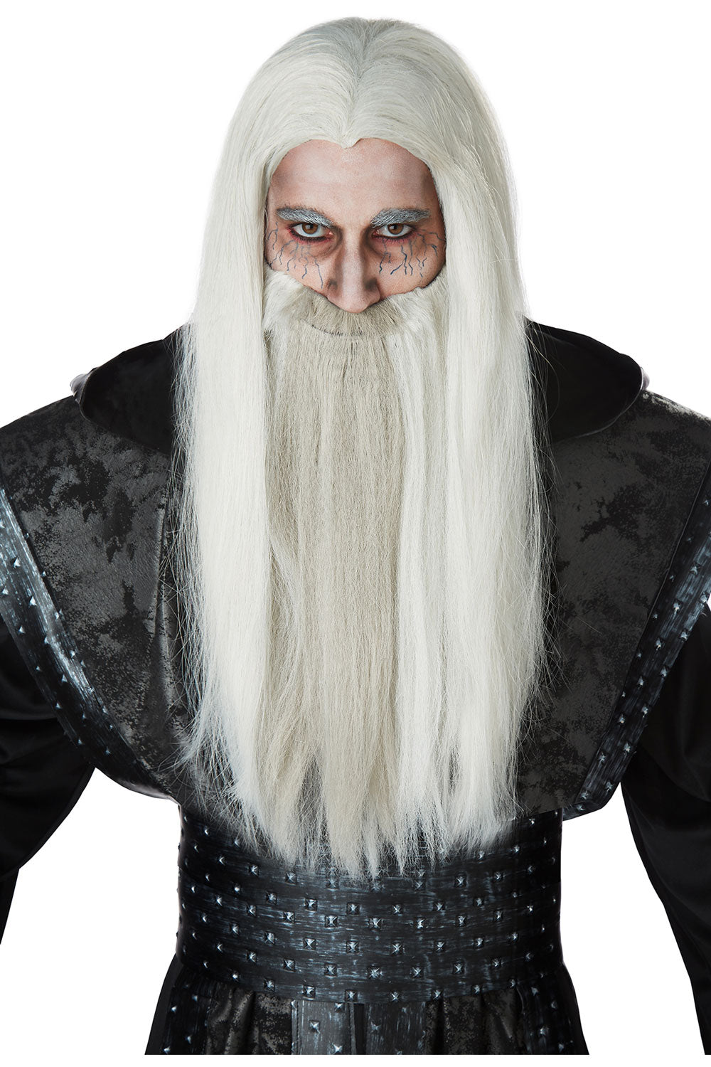 DARK WIZARD WIG California Costume 70900