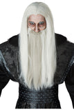 DARK WIZARD WIG California Costume 70900