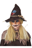Crimped Scarecrow Wig California Costume 7220/072