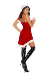 Costumes 2 Pc. Set Dress Elegant Moments 99107