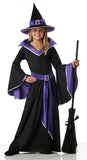 Incantasia, The Glamour Witch Costume California Costume 00275