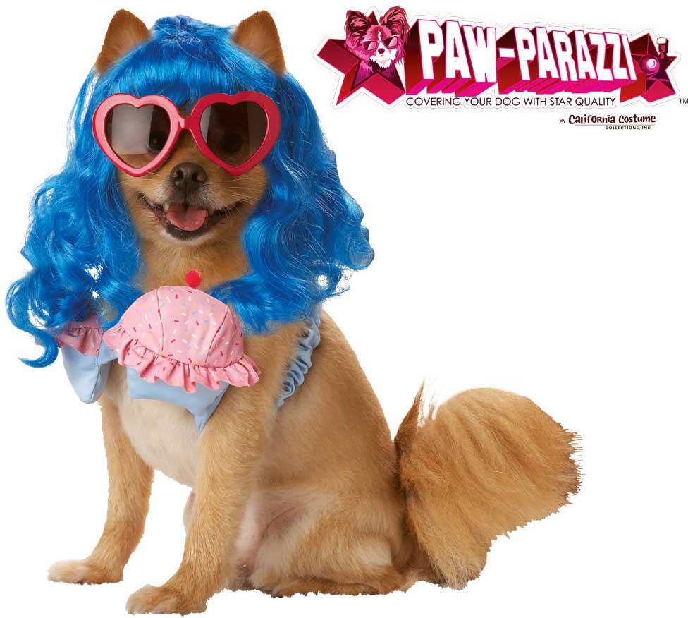 California Costumes Katy Perry California Girl Pet Costume PET20112 Halloween Costume