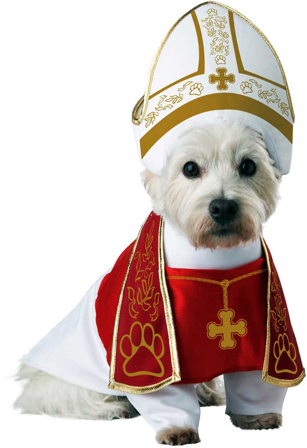 Holy Hound Pet Costume California Costume PET20127