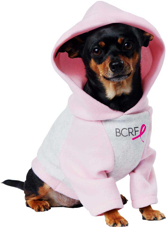 California Costumes Pink Ribbon Hoodie Dog Costume Pet20144 Halloween Costume