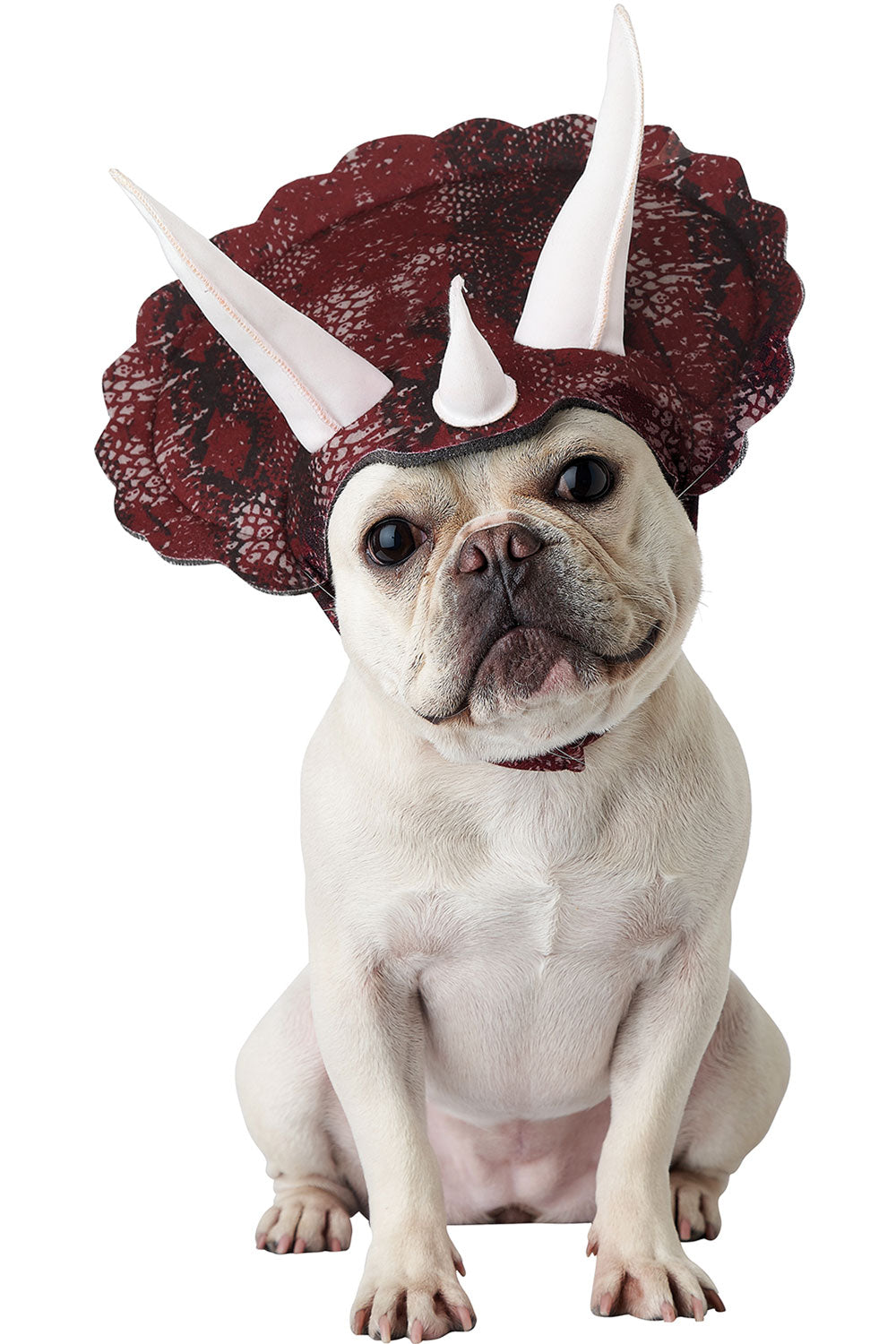 California Costumes Triceradog Costume Pet20167 Animal Halloween Costume