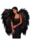 Angel Wings-Black Underwraps 30640