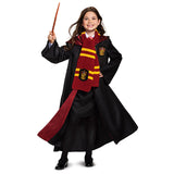 Gryffindor Scarf Disguise  108149