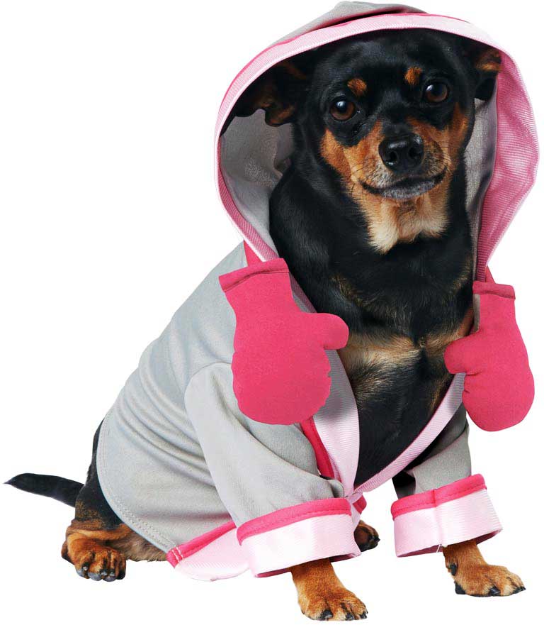 California Costumes Fighting For A Cure Dog Halloween Costume