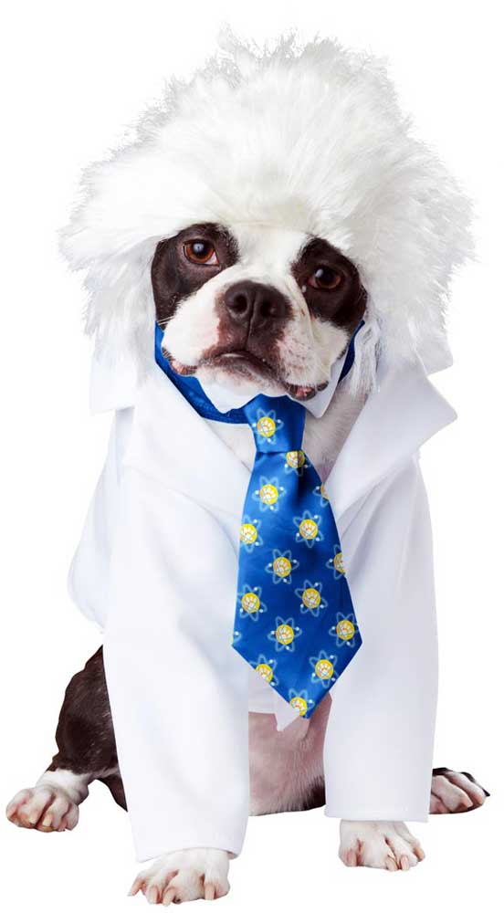AL-BARK EINSTEIN DOG COSTUME California Costume  PET20150