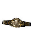 Championship Belt Underwraps  31118