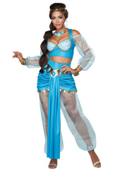ARABIAN PRINCESS/ADULT California Costume 01410
