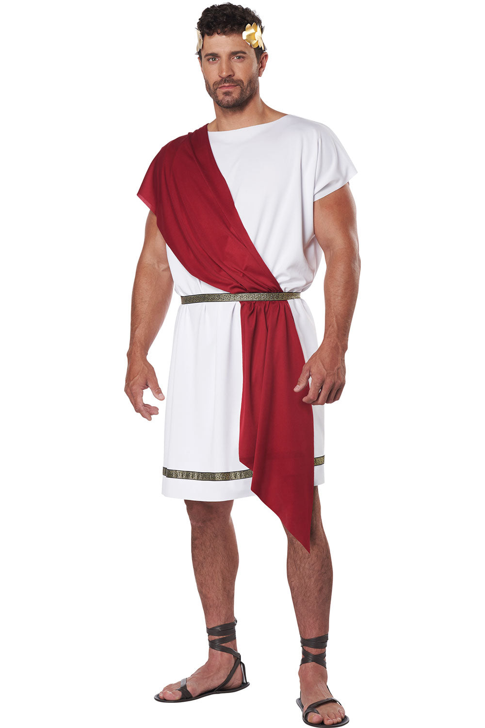 PARTY TOGA/ADULT California Costume 01454