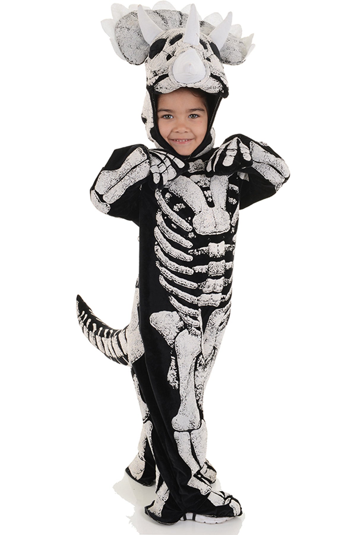 Triceratops Fossil Underwraps  26249