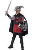 Dragon Rider/Child California Costume  3122/038