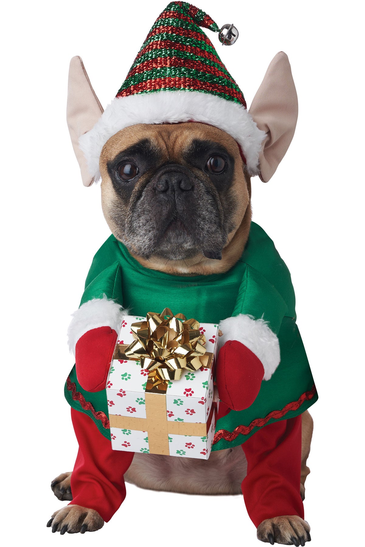 Santa'S Little Yelper Dog Costume California Costume  4223/006