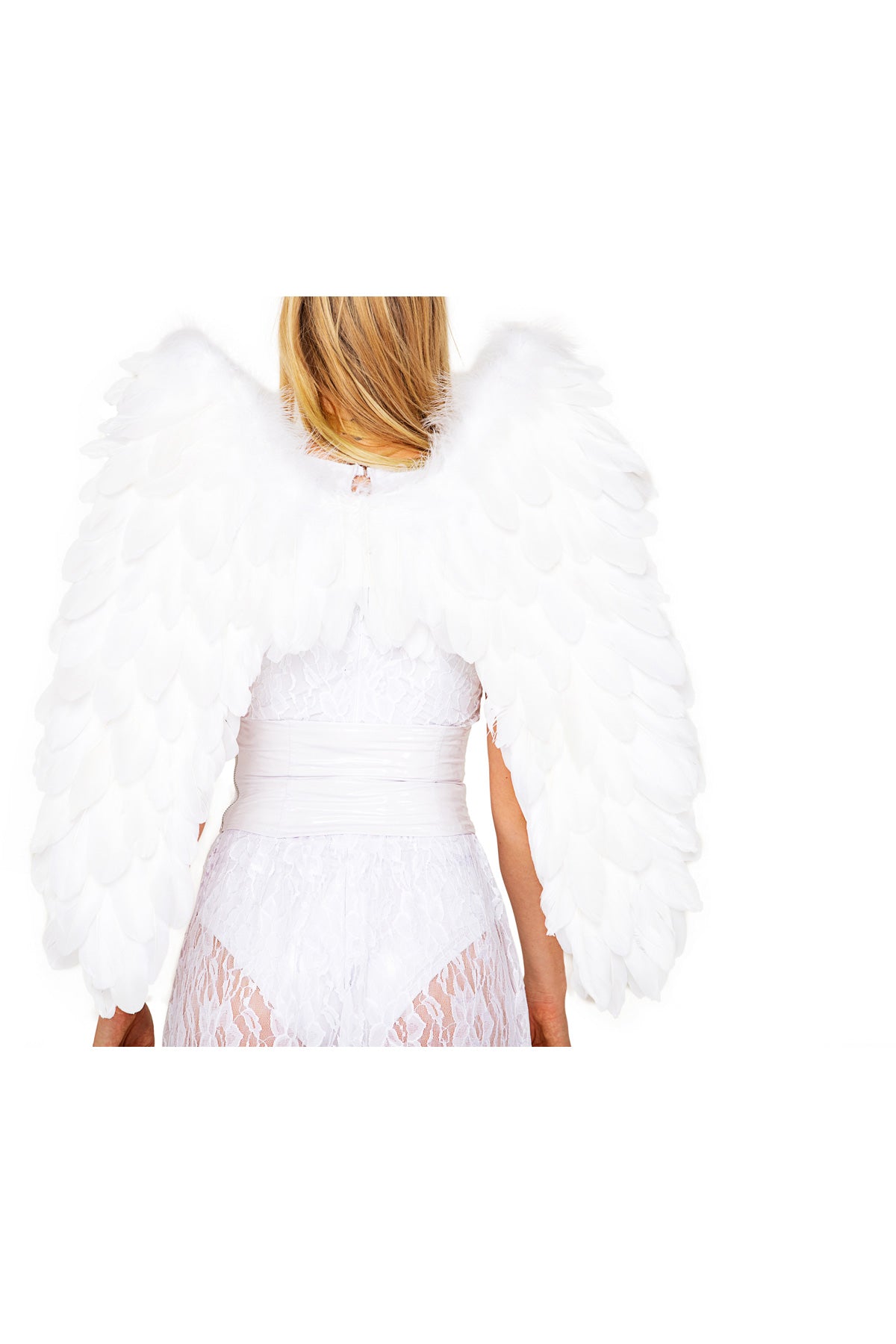 Delux Feathered Wings Roma  5081