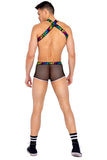 Men?S Pride Harness With Suspenders. Includes Chain Detail, Lobster Claw Clip, & Love Elastic Logo Roma  6156