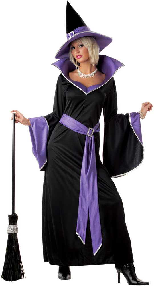 Incantasia, The Glamour Witch Costume California Costume 00853