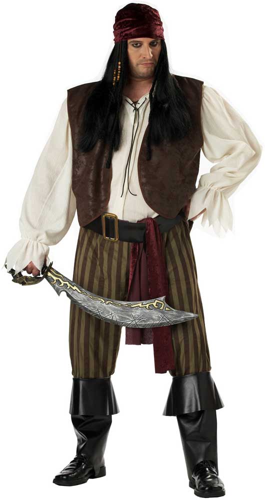 Plus Size Rogue Pirate Costume California Costume 01641