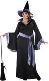 Incantasia, The Glamour Witch Costume California Costume 01646