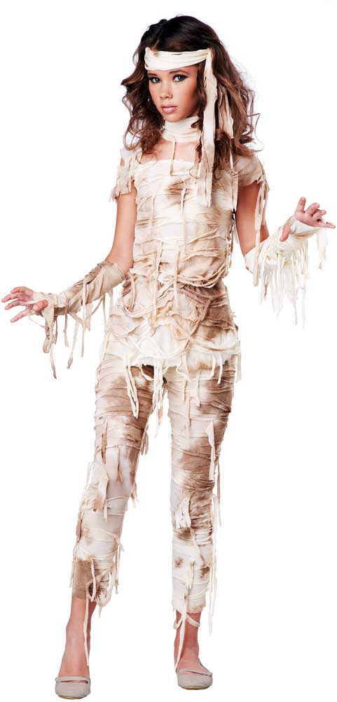 Ancient Egyptian Mummy Costume California Costume 04083