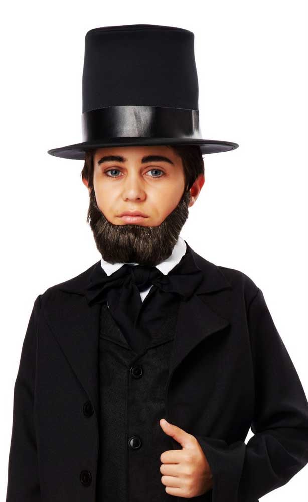 Abraham Lincoln Facial Hair Accessory California Costume 70752