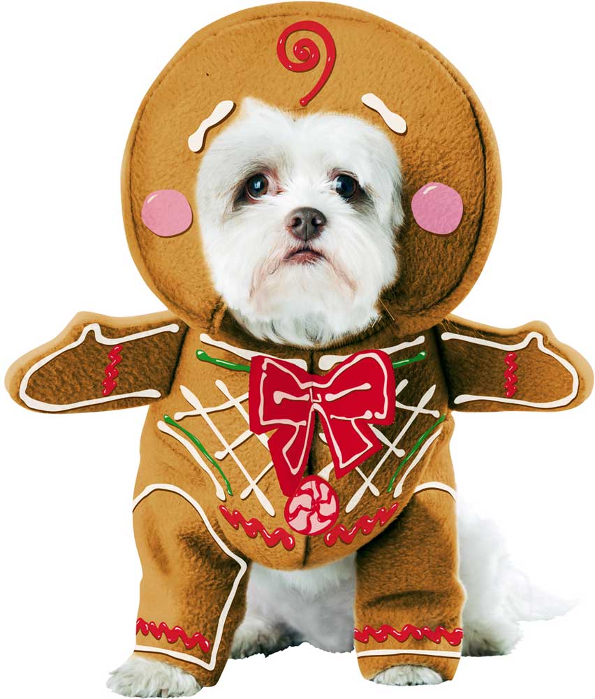 Gingerbread Pet Costume California Costume PET20133
