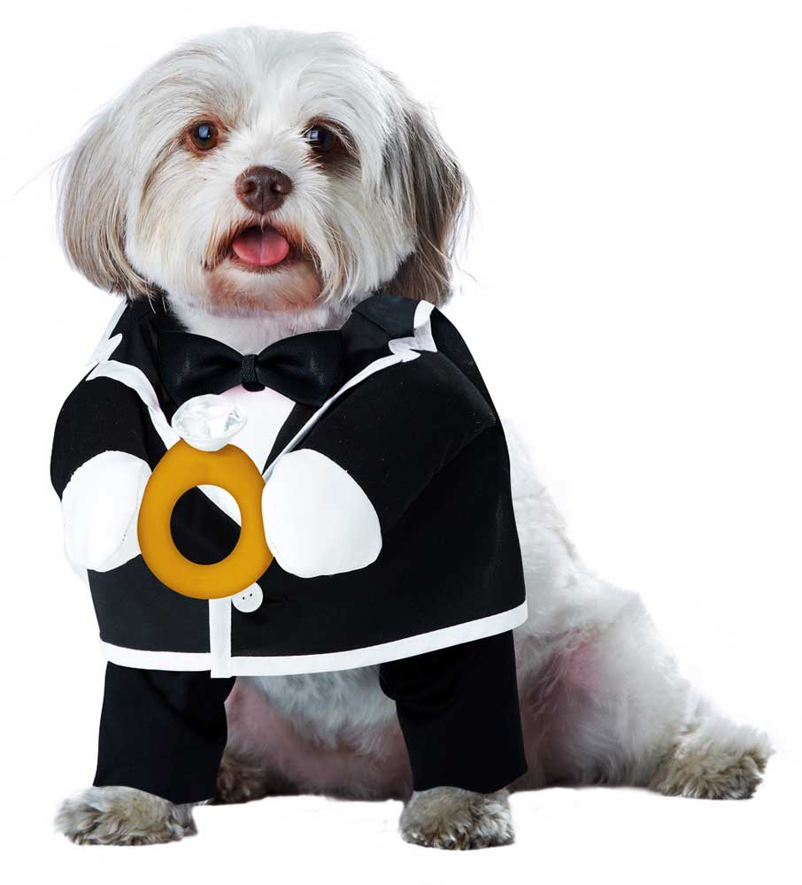 Handsome Groom Pet Costume Pet California Costume PET20140