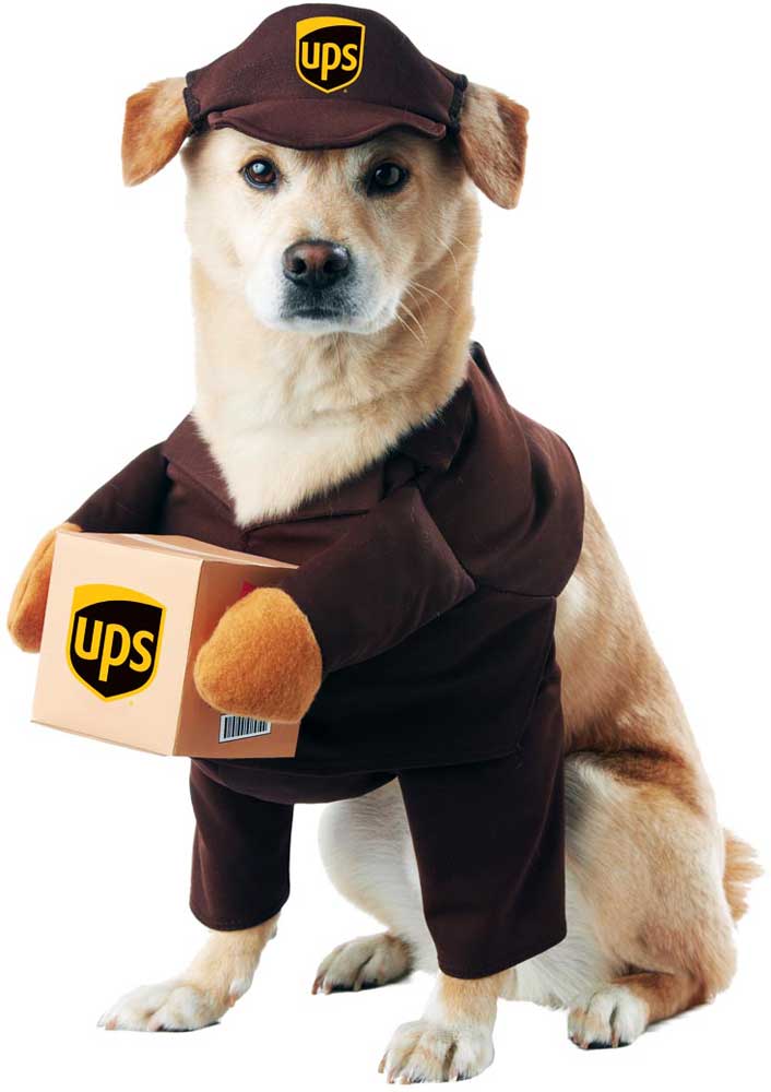UPS PAL DOG COSTUME California Costume PET20151