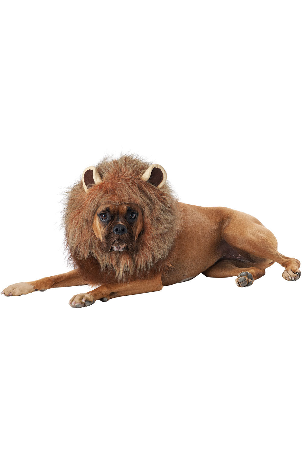 KING OF THE JUNGLE DOG COSTUME California Costume PET20166