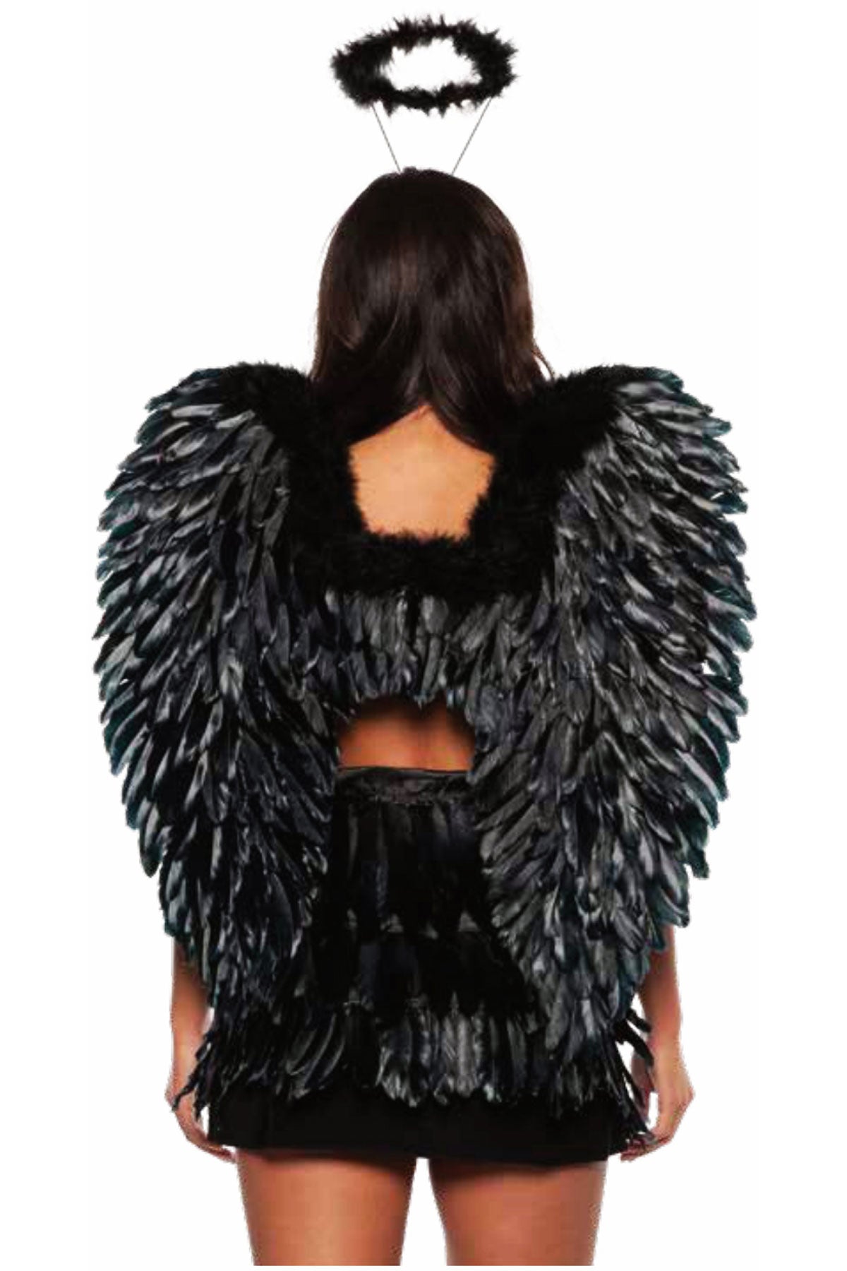 Wings- Feather Underwraps  30631